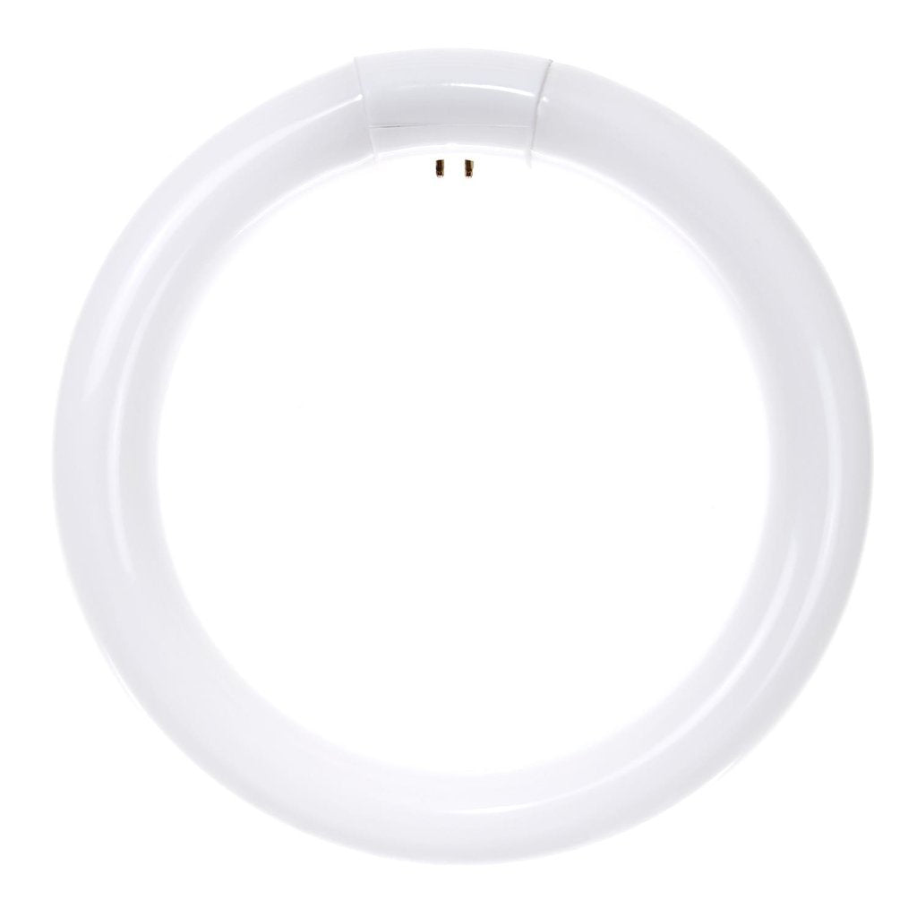 Sunlite 05038-SU 30W T9 Circline Super White Fluorescent Light Bulb
