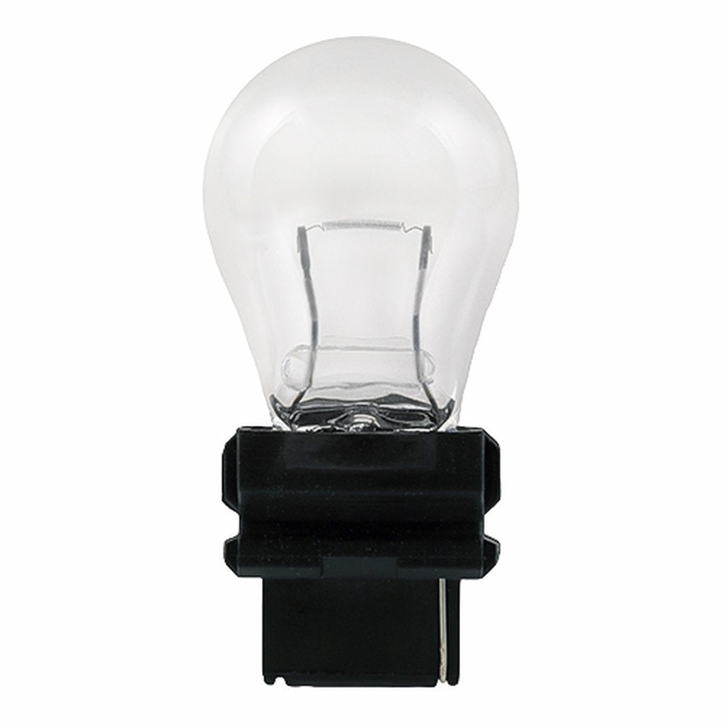 Halco 65030 S8 Warm White Incandescent Light Bulb
