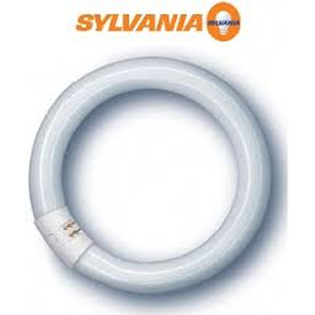 Sylvania 20750-S 55W T5 Circline Light Bulb