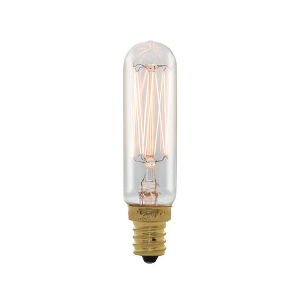 Bulbrite 861500 (132507) 25W T6 Warm White Incandescent Light Bulb