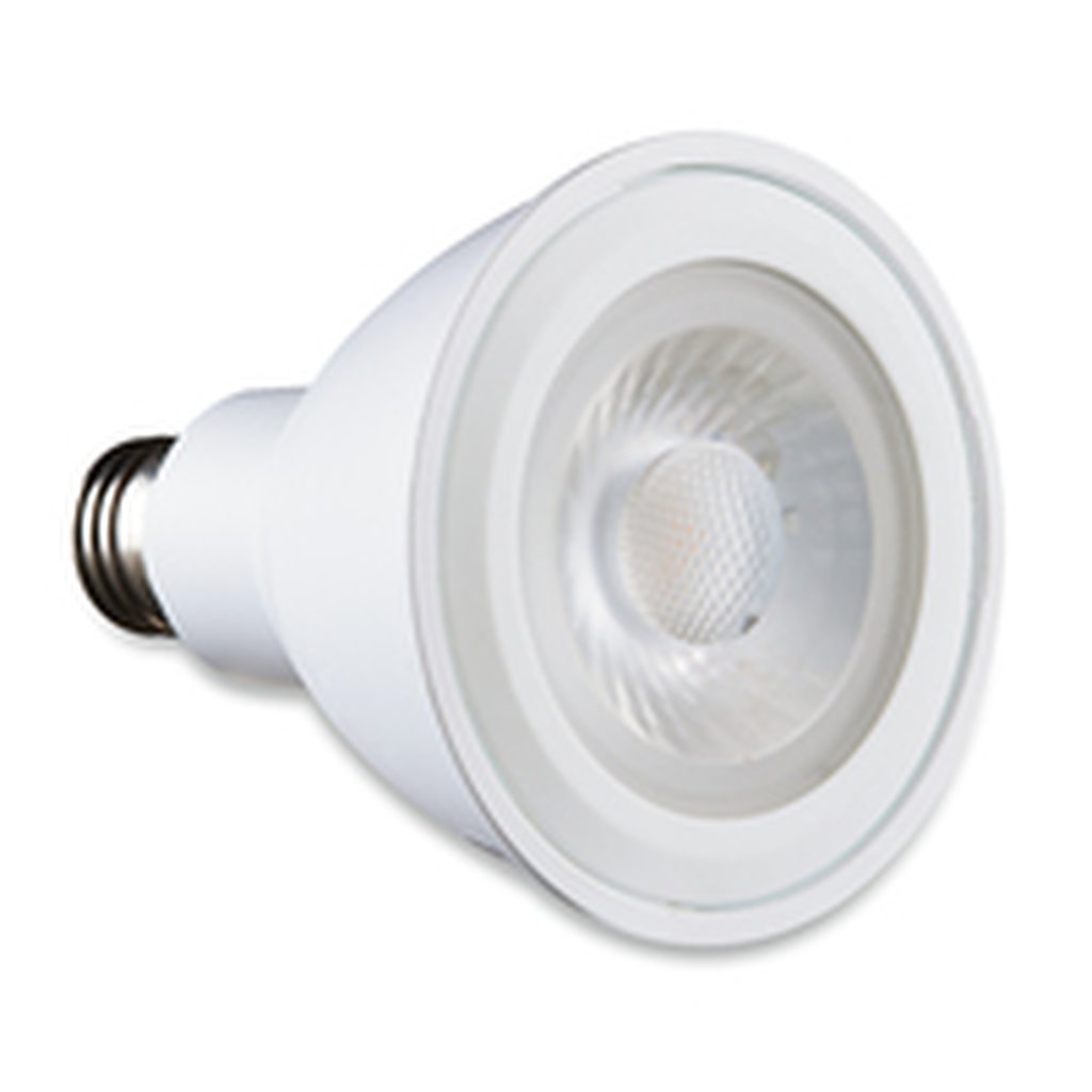 Verbatim 70177 PAR30 11W PAR30 Cool White LED Light Bulb