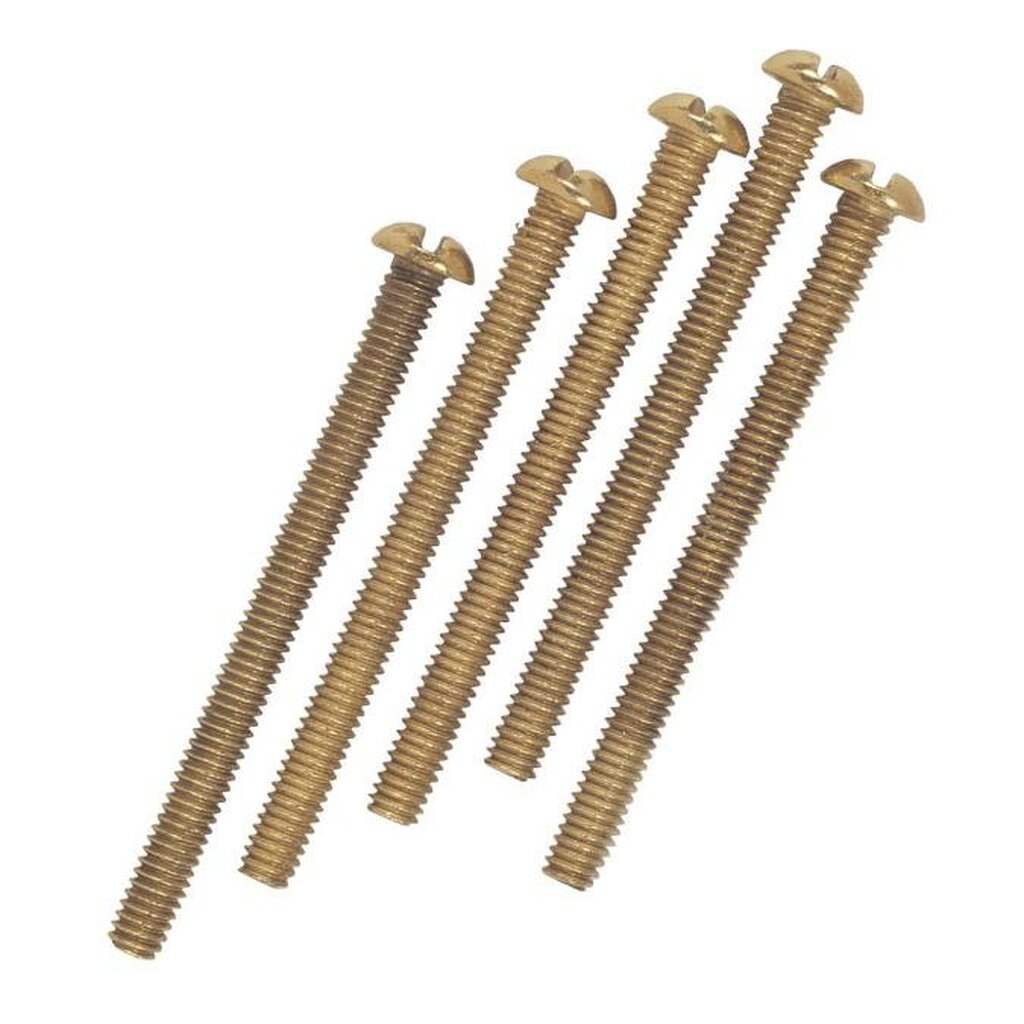 Westinghouse 7063600 LAMP ACCESSORY 5 Round Head Screws Brass-Plated