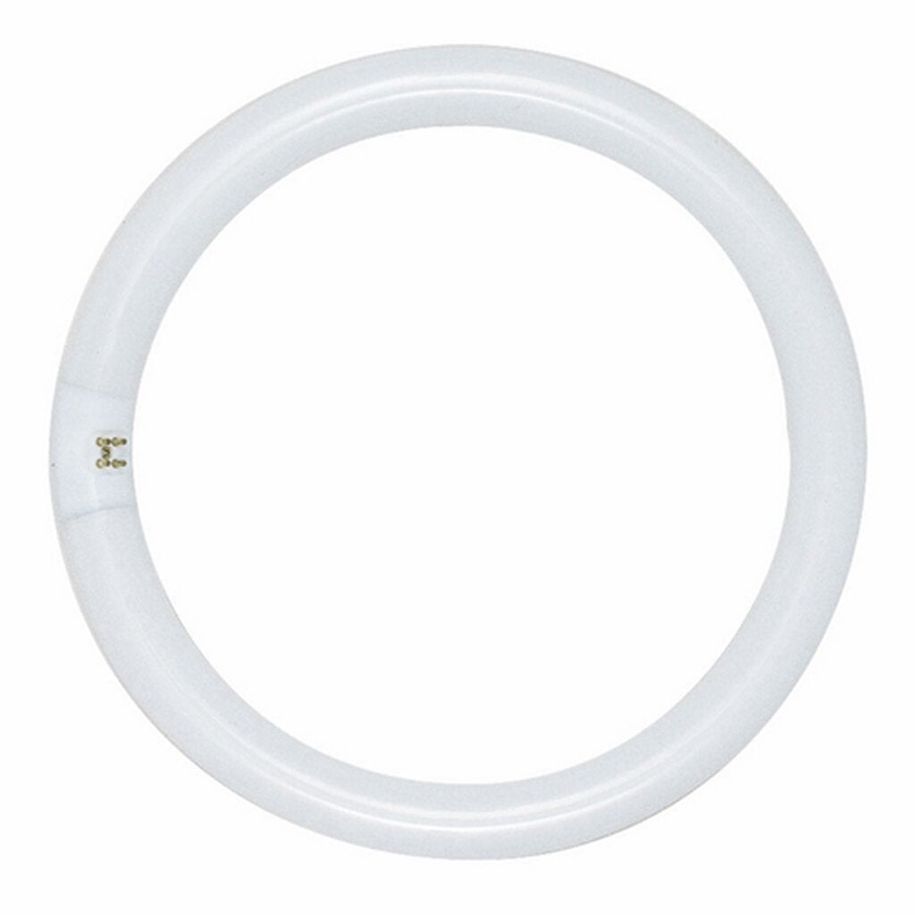 Satco S6501 22W T9 Circline Daylight Fluorescent Light Bulb