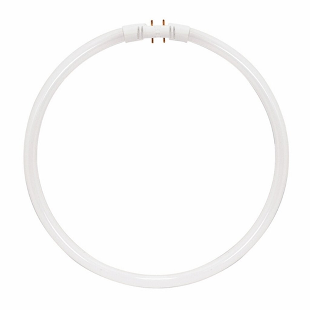 Satco S8163 55W T5 Circline Fluorescent Light Bulb