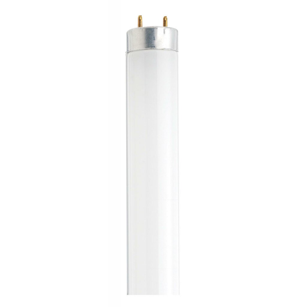 Satco S26519 T8 Fluorescent Light Bulb