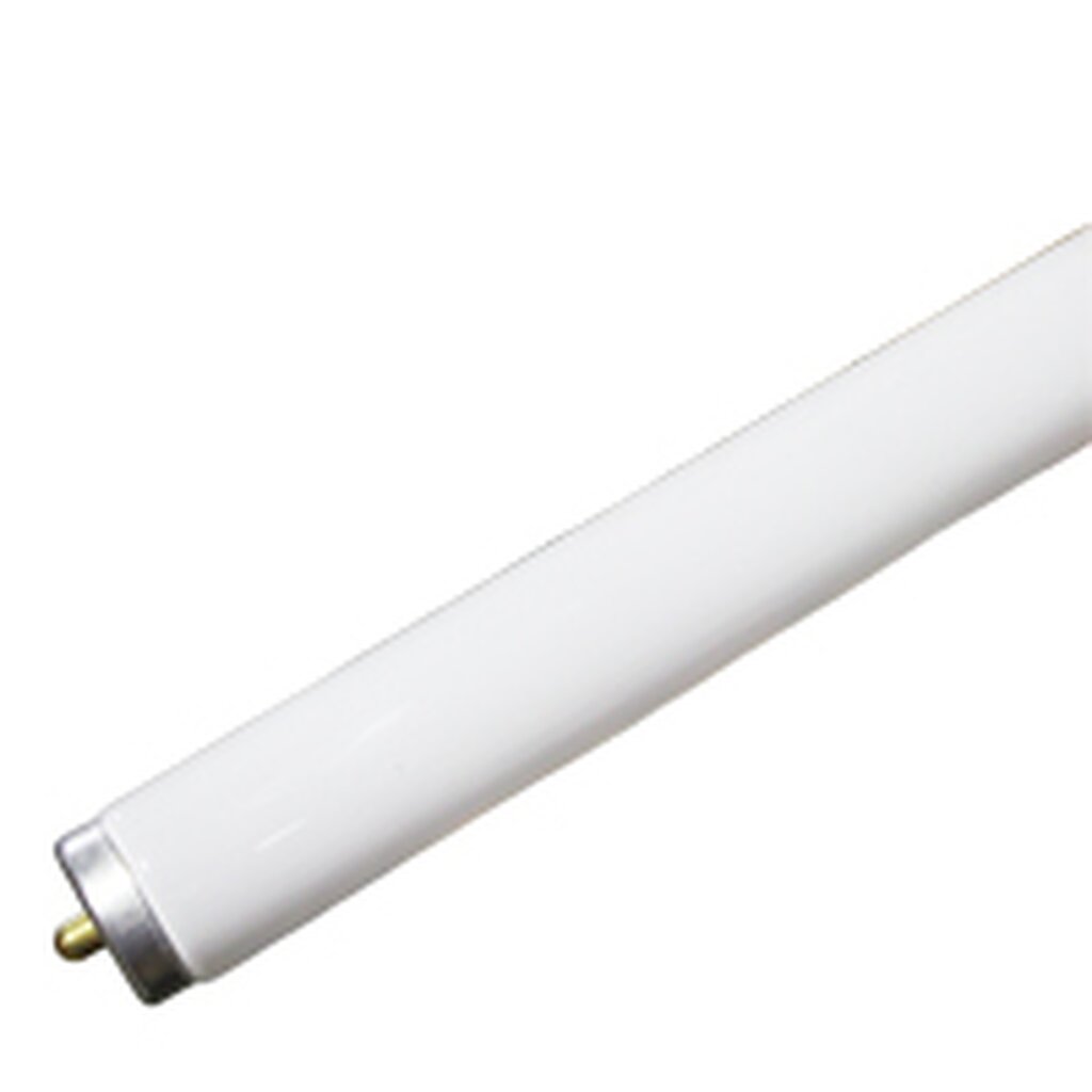 Major 248302/SYL 39W T12 Fluorescent Light Bulb