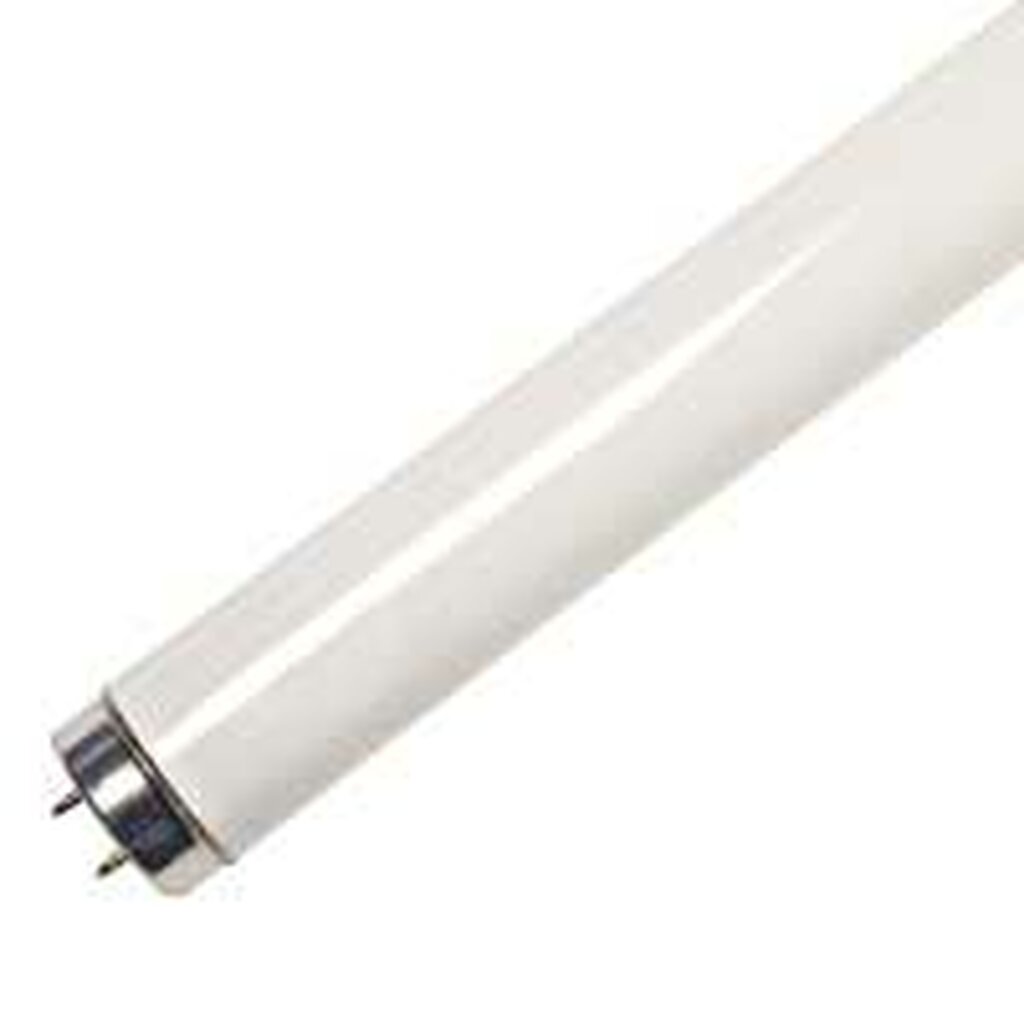 ProLume 109212 15W T8 Fluorescent Light Bulb