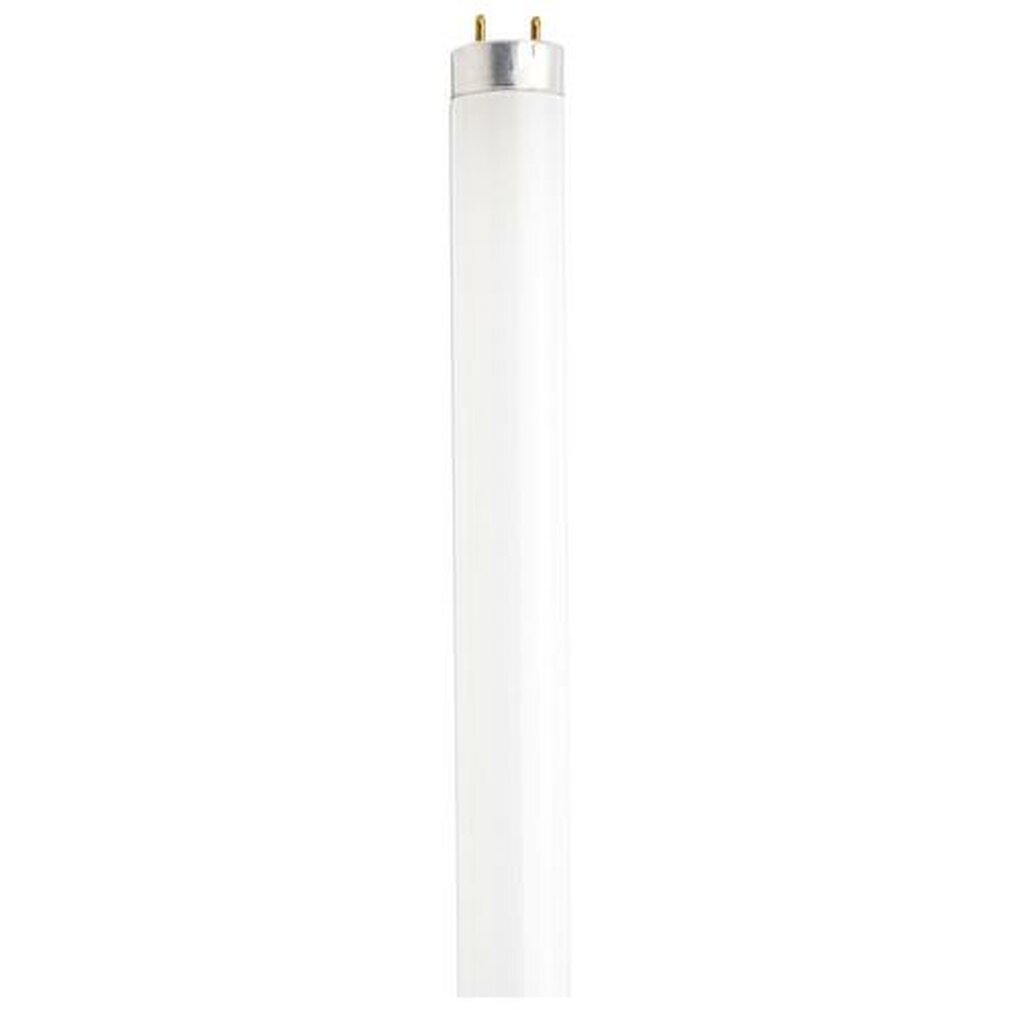 Sylvania S2917 32W T8 Fluorescent Light Bulb