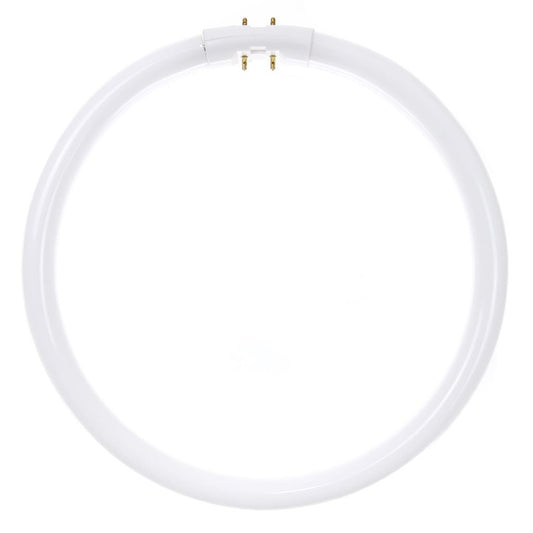 Sunlite 05810-SU 22W T5 Circline Cool White Fluorescent Light Bulb