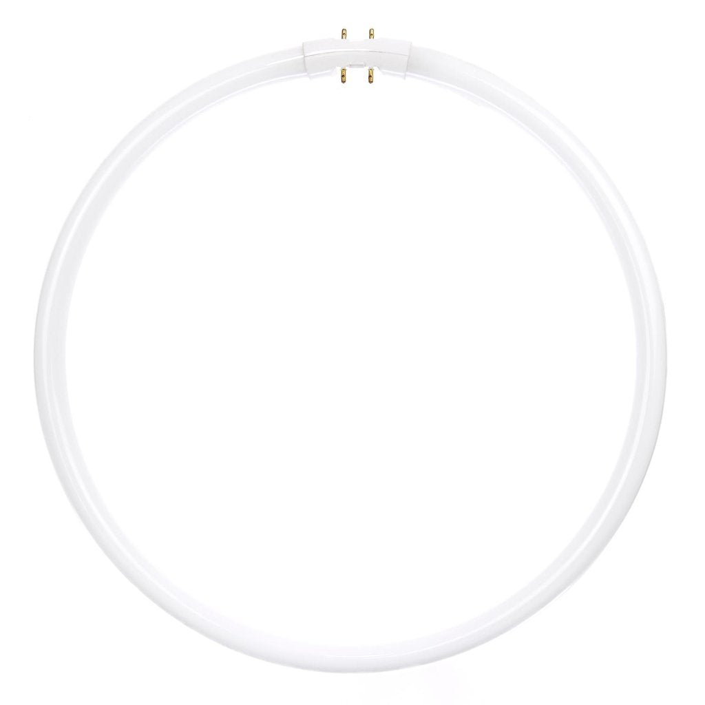 Sunlite 05825-SU 40W T5 Circline Cool White Fluorescent Light Bulb