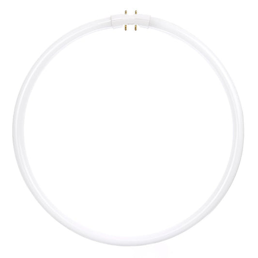 Sunlite 05825-SU 40W T5 Circline Cool White Fluorescent Light Bulb