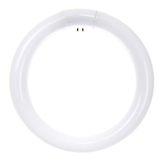 Sunlite 05038-SU 30W T9 Circline Super White Fluorescent Light Bulb