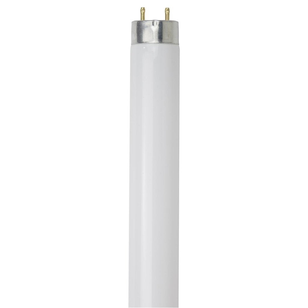 Sunlite 30158-SU 25W T8 Bright White Fluorescent Light Bulb