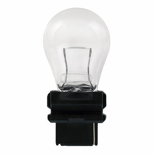 Halco 65030 S8 Warm White Incandescent Light Bulb