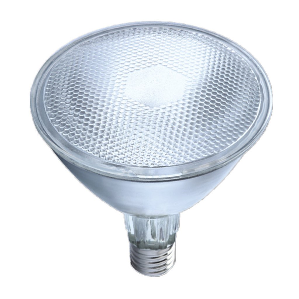 Eiko 07177 70W PAR38 HID Light Bulb