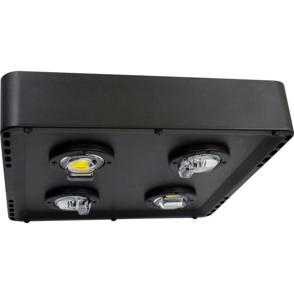 Eiko 09273 100W LED Dimmable Fixture
