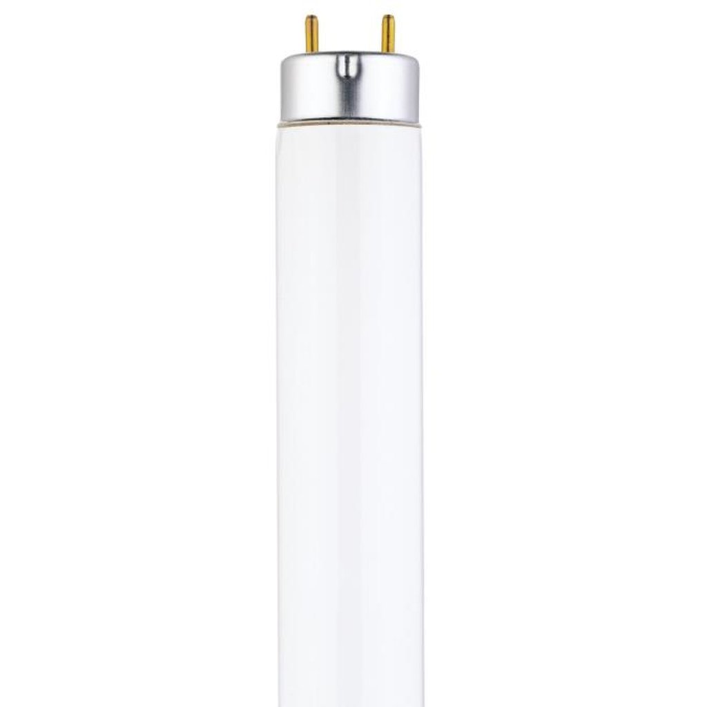 Westinghouse 0745651 25W T8 Fluorescent Light Bulb
