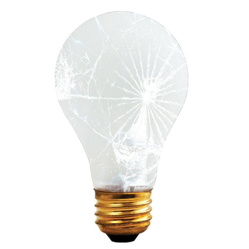 Bulbrite 860874 100W A19 Warm White INCANDESCENT Light Bulb