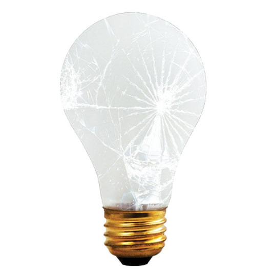 Bulbrite 860874 100W A19 Warm White INCANDESCENT Light Bulb