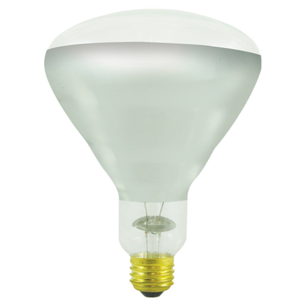 Bulbrite 860894 (714725) 250W BR40 Warm White Incandescent Light Bulb