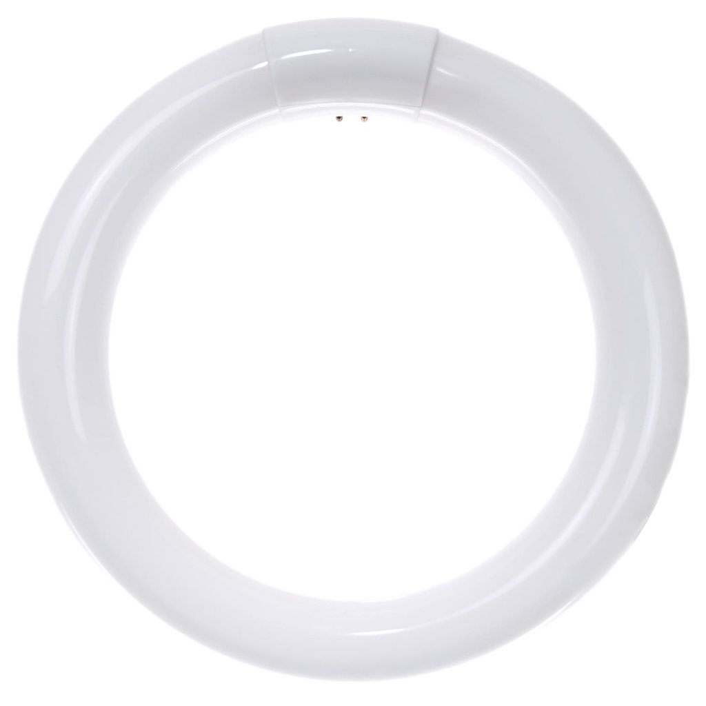 Sunlite 05027-SU 22W T9 Circline Cool White Fluorescent Light Bulb
