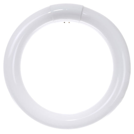 Sunlite 05027-SU 22W T9 Circline Cool White Fluorescent Light Bulb