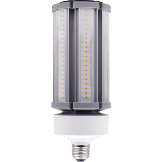 Eiko 10248 54W LED Light Bulb