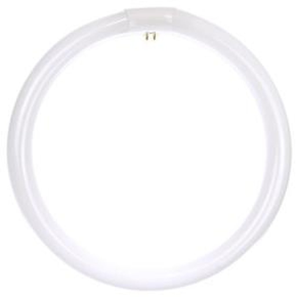 Sunlite 05036-SU 32W T9 Fluorescent Light Bulb