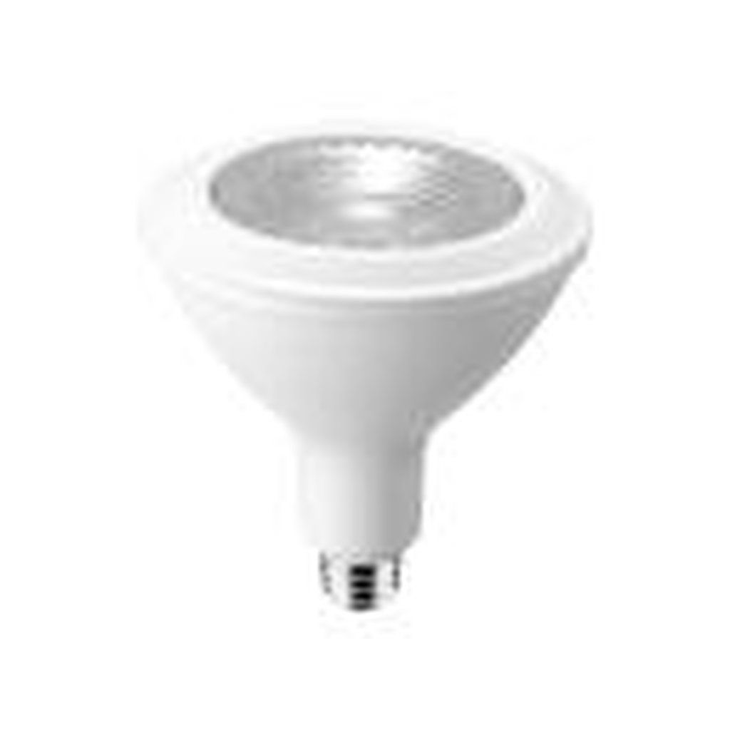 Maxlite 102651 13W PAR38 LED Light Bulb