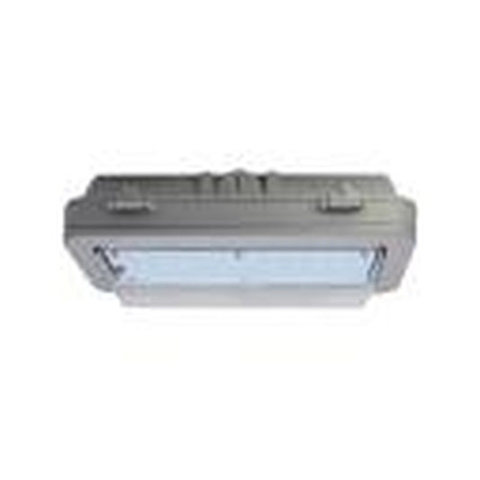 MaxLite 14101734 Fixture HAZARDOUS LOCATION WALL PACK; 26W; 120-277V;