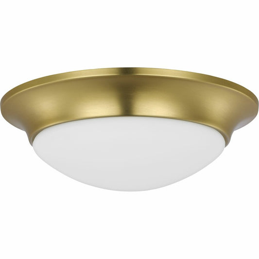 Progress Lighting P350146-012 Fixture This flush mount proves that