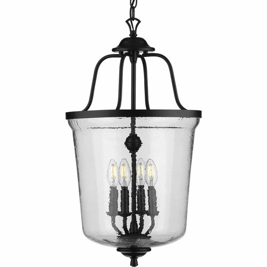 Progress Lighting P500207-031 Fixture Beautiful lighting will appeal