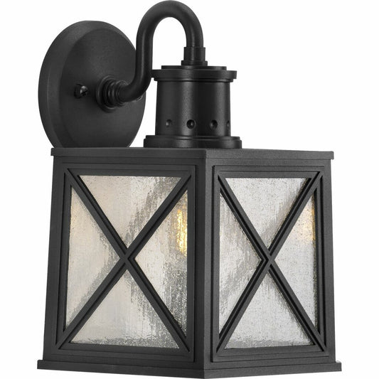 Progress Lighting P560164-031 Fixture Capture the raw strength and