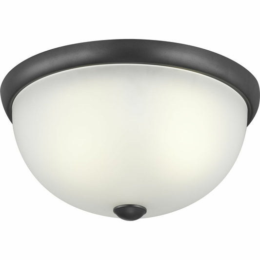 Progress Lighting P350044-143 Fixture A classic two-light 14in flush