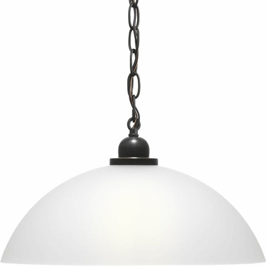 Progress Lighting P500149-020 Fixture The elegantly simple design of