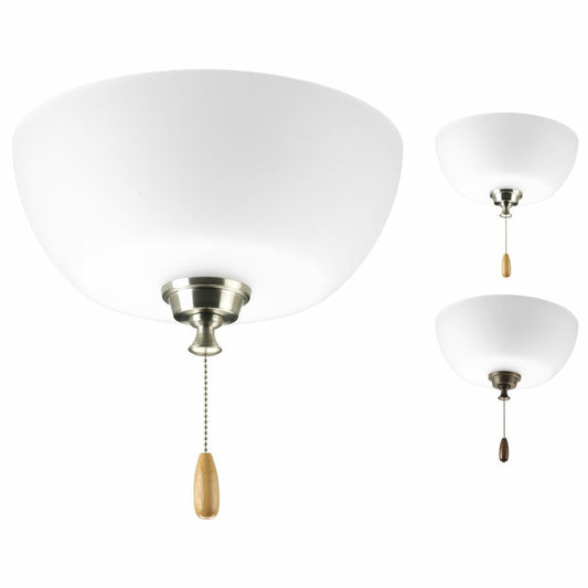 Progress Lighting P2649-01WB Fixture Spherical two-light fan light kit