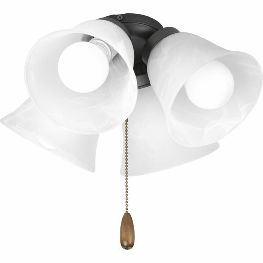 Progress Lighting P2610-143WB Fixture Four-light kit with white washed