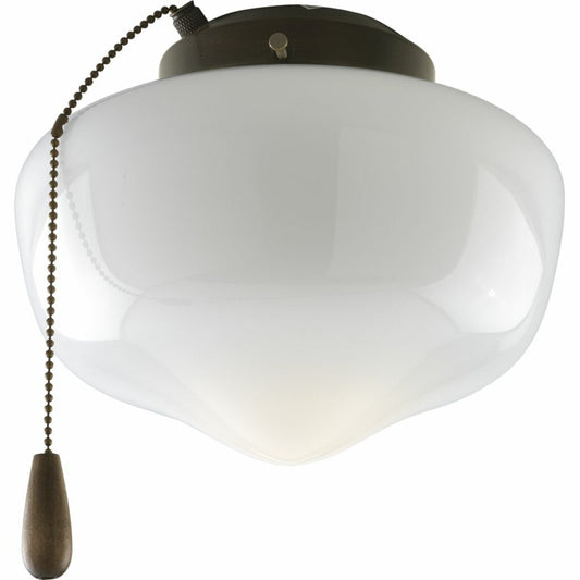 Progress Lighting P2601-20WB Fixture One-light Schoolhouse style