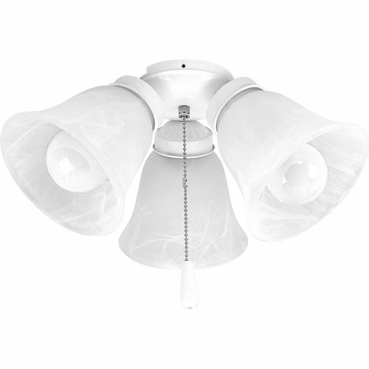 Progress Lighting P2600-30WB Fixture Three-light kit with white washed