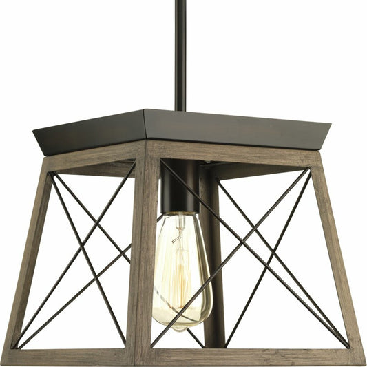 Progress Lighting P500041-020 Fixture A light source exudes a