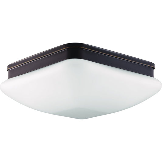 Progress Lighting P3992-20 Fixture With an elevated style the
