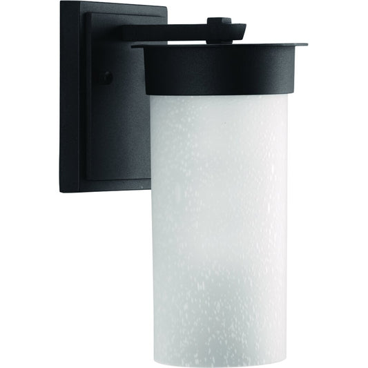 Progress Lighting P5624-31 Fixture The Hawthorn outdoor lantern