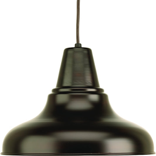 Progress Lighting P5551-20 Fixture The one-light large cord hung