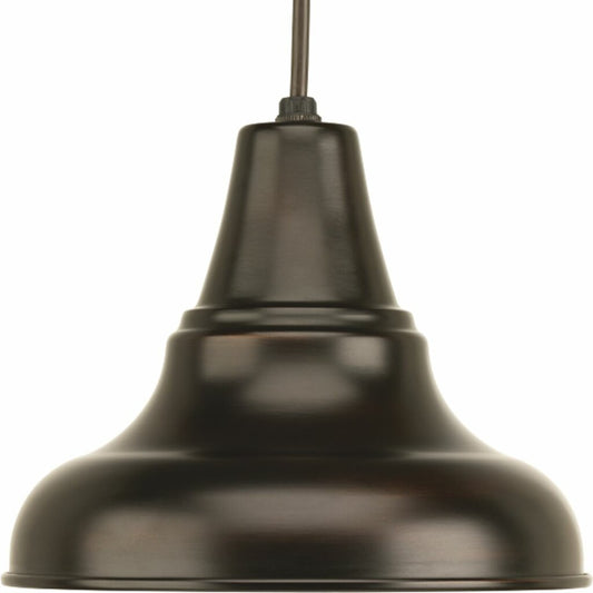 Progress Lighting P5535-20 Fixture The one-light medium size cord hung