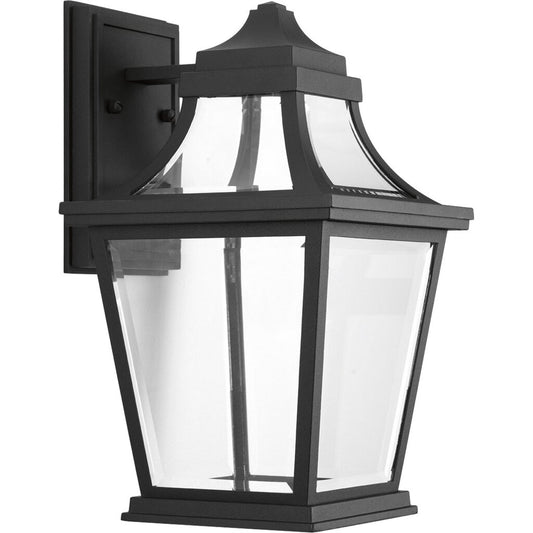 Progress Lighting P6057-3130K9 9W LED Fixture Endorse celebrates the