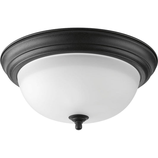 Progress Lighting P3925-80 Close-To-Ceiling Fixture Two-light flush