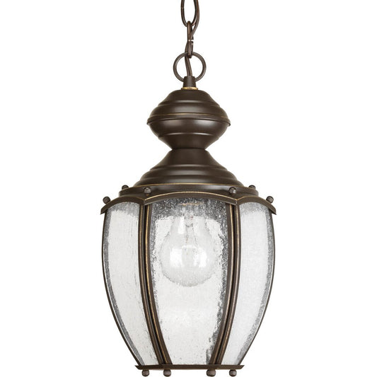Progress Lighting P5565-20 Fixture Solid one-light 7 in hanging
