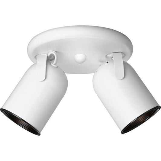 Progress Lighting P6149-30 Fixture Two-light round back ceiling mount
