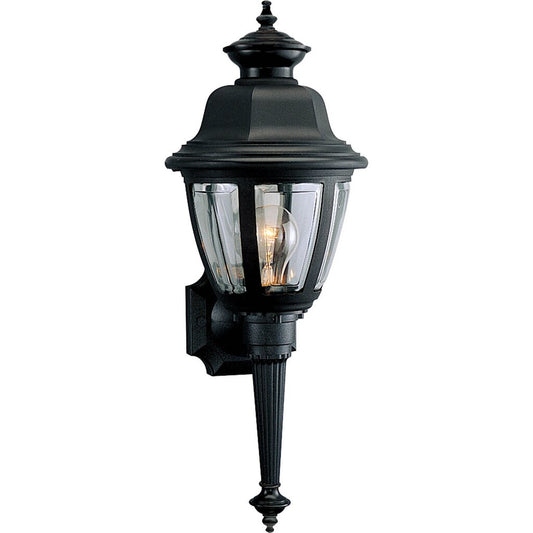 Progress Lighting P5738-31 Fixture Outdoor one-light non-metallic wall
