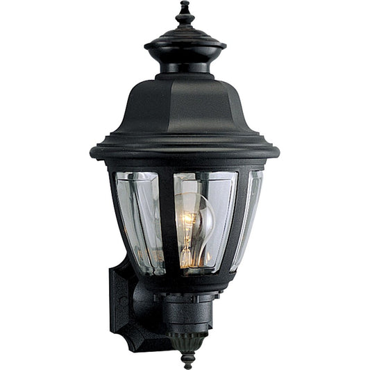 Progress Lighting P5737-31 Fixture Outdoor one-light non-metallic wall